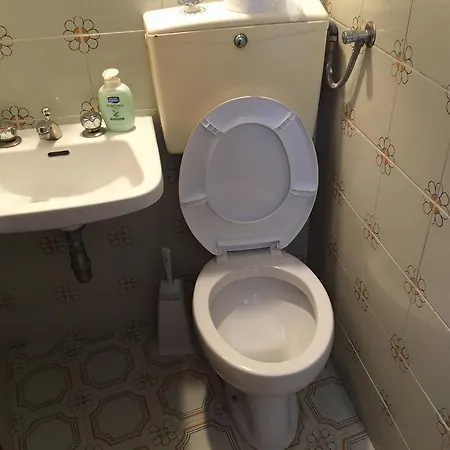 House Cicca